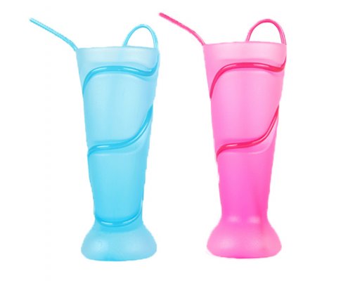 Water Cup With Straw